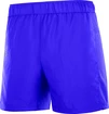 Heren short Salomon