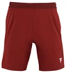 Heren short Tecnifibre  Club Short Cardinal