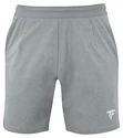 Heren short Tecnifibre  Club Short Silver