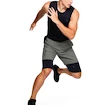 Heren short Under Armour