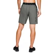 Heren short Under Armour
