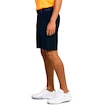 Heren short Under Armour