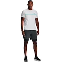 Heren short Under Armour