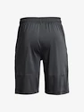 Heren short Under Armour  Raid 2.0 Shorts-GRY