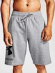 Heren short Under Armour  Rival FLC Big Logo Shorts gray S