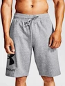 Heren short Under Armour  Rival FLC Big Logo Shorts gray S