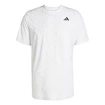 Heren T-shirt adidas  Club Tennis Climacool Graphic T-Shirt White