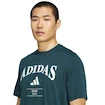 Heren T-shirt adidas  Heritage Graphic Tee Aurora Ivy