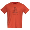 Heren T-shirt Bergans Graphic Wool Brick