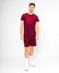 Heren T-shirt BIDI BADU Protected Leafs Chill Tee Bordeaux