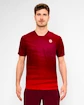 Heren T-shirt BIDI BADU  Protected Leafs Tee Bordeaux