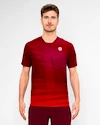 Heren T-shirt BIDI BADU  Protected Leafs Tee Bordeaux