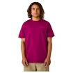 Heren T-shirt CCM  Casual Tee Boysenberry