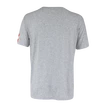 Heren T-shirt CCM FLAG TEE TEAM AUSTRIA Athletic Grey