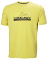 Heren T-shirt Helly Hansen  Skog Recycled Graphic T-Shirt Endive XXL
