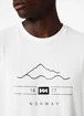 Heren T-shirt Helly Hansen  Skog Recycled Graphic T-Shirt White