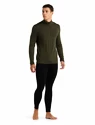 Heren T-shirt Icebreaker M 260 Tech LS Half Zip Loden