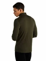 Heren T-shirt Icebreaker M 260 Tech LS Half Zip Loden