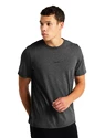 Heren T-shirt Icebreaker  M Central SS Tee GRITSTONE HTHR
