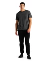 Heren T-shirt Icebreaker M Central SS Tee GRITSTONE HTHR