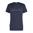 Heren T-shirt Icebreaker Merino 150 Tech Lite SS T Icebreaker Graphite XL