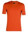 Heren T-shirt Icebreaker  Sphere SS Crewe