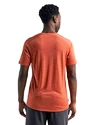Heren T-shirt Icebreaker  Sphere SS Crewe