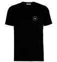 Heren T-shirt Icebreaker  Tech Lite SS Crewe Nomad Forever