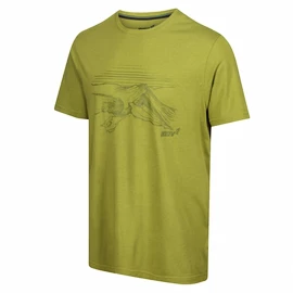 Heren T-shirt Inov-8 Graphic "Helvellyn" Green