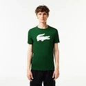 Heren T-shirt Lacoste  Big Logo Core Performance T-Shirt Green/White