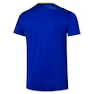 Heren T-shirt Mizuno  Frontier Shadow Graphic Tee M Bellwether Blue