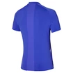Heren T-shirt Mizuno  Shadow Polo Violet Blue