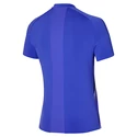 Heren T-shirt Mizuno  Shadow Polo Violet Blue