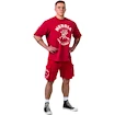 Heren T-shirt Nebbia NEBBIA x OLYMPIA Washed Oversized T-Shirt GOLDEN AGE 790 red