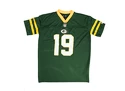 Heren T-shirt New Era  NFL oversized tee Green Bay Packers