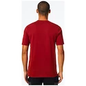 Heren T-shirt Oakley O-BOLD ELLIPSE