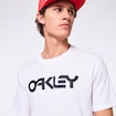 Heren T-shirt Oakley O-BOLD ELLIPSE