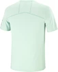 Heren T-shirt Salomon