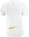 Heren T-shirt Salomon Aero SS Tee White/Autumn Blaze