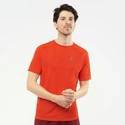Heren T-shirt Salomon Cross Rebel SS Tee Fiery Red