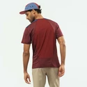 Heren T-shirt Salomon Outline SS Tee Cabernet