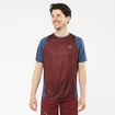 Heren T-shirt Salomon Sense Aero SS Tee Cabernet