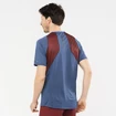 Heren T-shirt Salomon Sense Aero SS Tee Cabernet