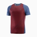 Heren T-shirt Salomon Sense Aero SS Tee Cabernet