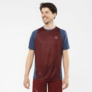 Heren T-shirt Salomon Sense Aero SS Tee Cabernet