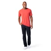Heren T-shirt Smartwool  Merino 150 Plant-Based Dye Earth Red Wash
