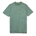 Heren T-shirt Smartwool Merino Sport 120 Mountain Biking Sage Heather