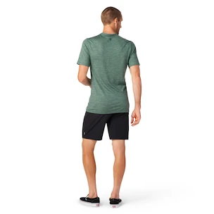 Heren T-shirt Smartwool  Merino Sport 150 Overland Trek Sage Heather
