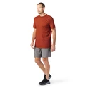 Heren T-shirt Smartwool Merino Sport 150 Tech Tee Picante