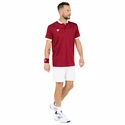 Heren T-shirt Tecnifibre Club Polo Cardinal